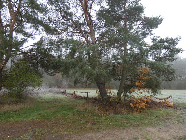 Landschaft an der Alten Hirschfelder Straße