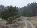 Landschaft im Finowtal