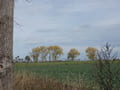 Landschaft zwischen Kiebitzsee und Blumberg