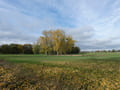 Landschaft bei Blumberg