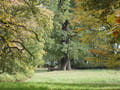 Lennépark Blumberg