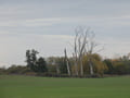 Landschaft bei Krummensee