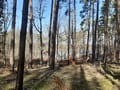 Grabowsee