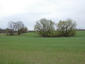 Landschaft bei Oderberg