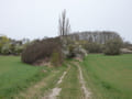 Landschaft bei Oderberg