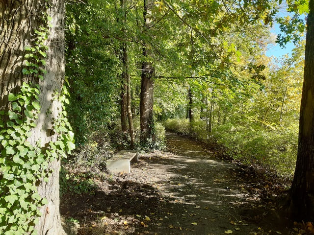 Schlosspark Plaue