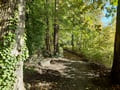 Schlosspark Plaue