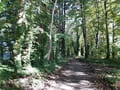 Schlosspark Plaue