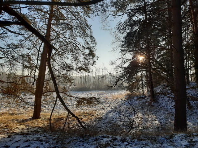 Landschaft im Biesenthaler Becken