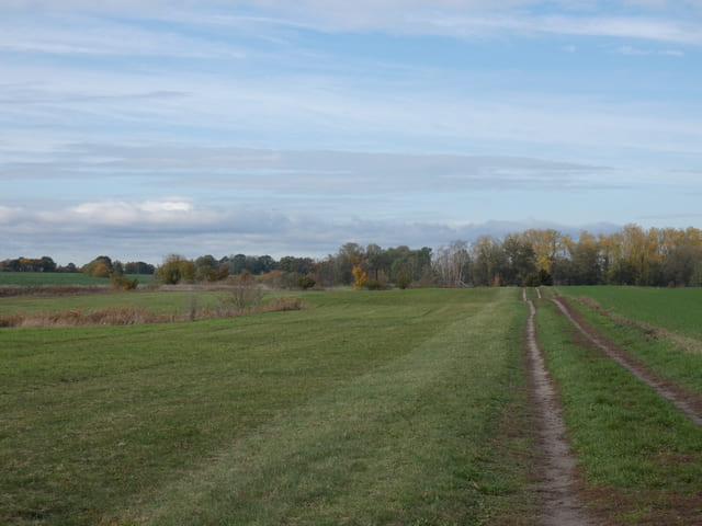 Weg vom Kiebitzsee Richtung Blumberg