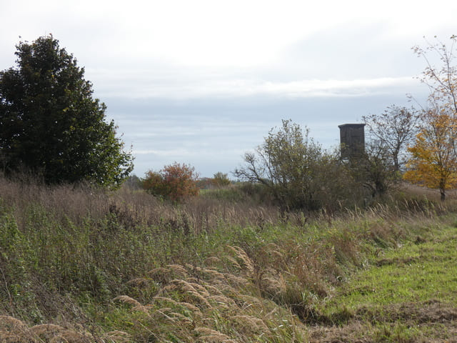 Am Weg vom Kiebitzsee Richtung Blumberg