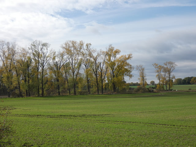 Landschaft bei Blumberg