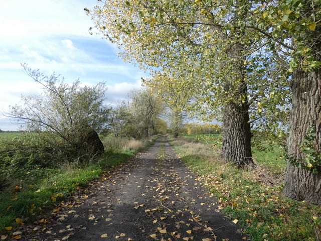 Krummenseer Straße, Blumberg