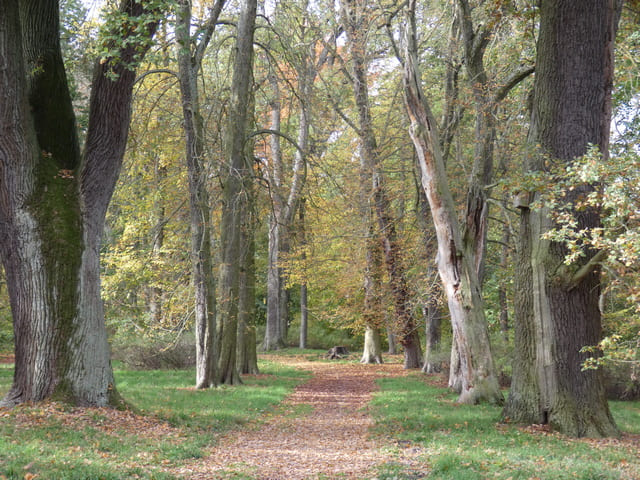 Lennépark Blumberg