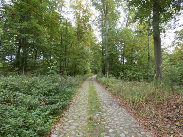 NSG Plagefenn, Denglerweg