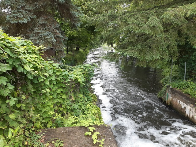Finowkanal an der Ragöser Schleuse