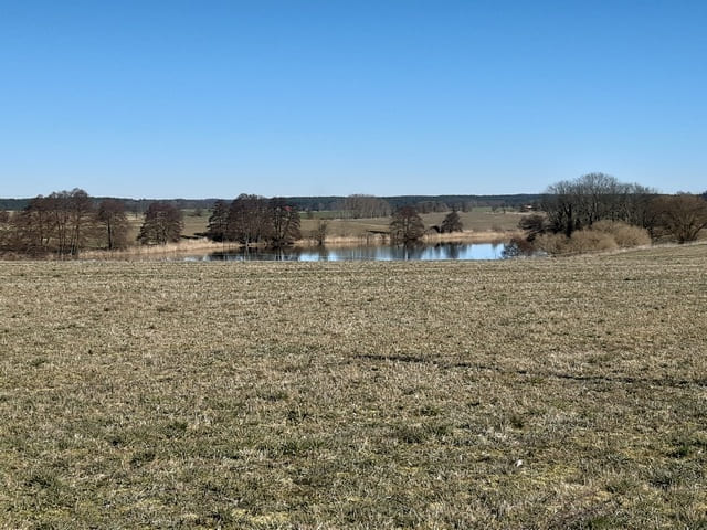 Blick zum Krummen See