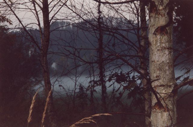 Nebel über dem Mechesee