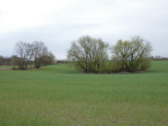Landschaft bei Oderberg