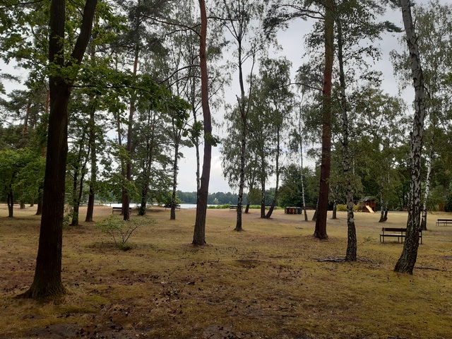 Blick zum Stolzenhagener See