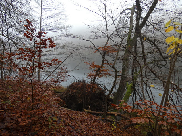 Gamensee