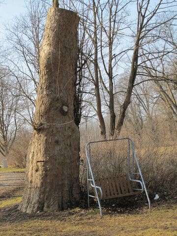 Zugang zum Park
