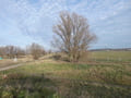 Landschaftspark am Gehrensee
