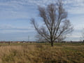 Landschaftspark am Gehrensee