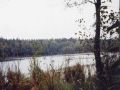 Bogensee in der Prendener Heide