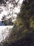 Bogensee in der Prendener Heide
