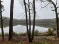 Bogensee