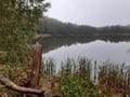 Bogensee
