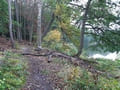 Bogensee