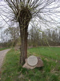 Stein-Wegweiser