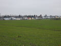 Blick vom Mehrower Weg nach Eiche