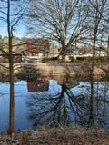 Spiegelungen am Werbellinkanal
