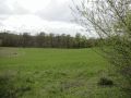 Gletscherblick