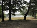 Gorinsee