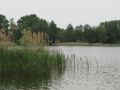 Gorinsee