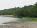 Gorinsee