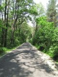 Straße nach Börnicke