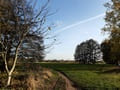 Blick aus dem Eichepark nach Hoheneiche