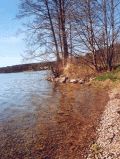 Am Werbellinsee