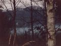 Nebel über dem Mechesee