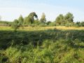 Schönower Heide