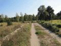 Schönower Heide