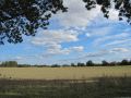 Landschaft bei Trappenfelde