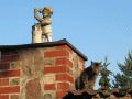 in guter Nachbarschaft