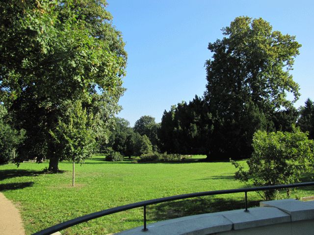 Gutspark