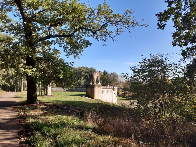 Tontaubenschießstand